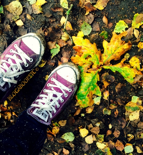 Trees, Autumn, Photos, iPhone 5, Walking, Dog Walk, Wimbledon Common, Wimbledon Village, Blog A Book Etc, Fay